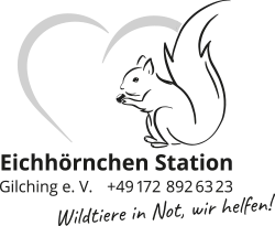 Eichhörnchen Station Gilching Logo